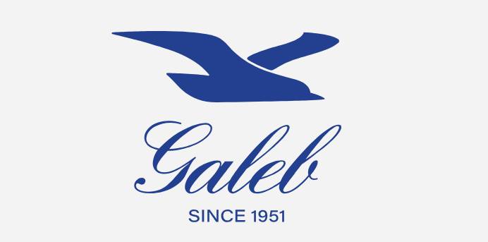 Galeb logo _novi-ai
