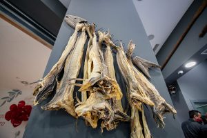 IMG_3052a