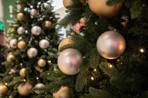 IMG_8095
